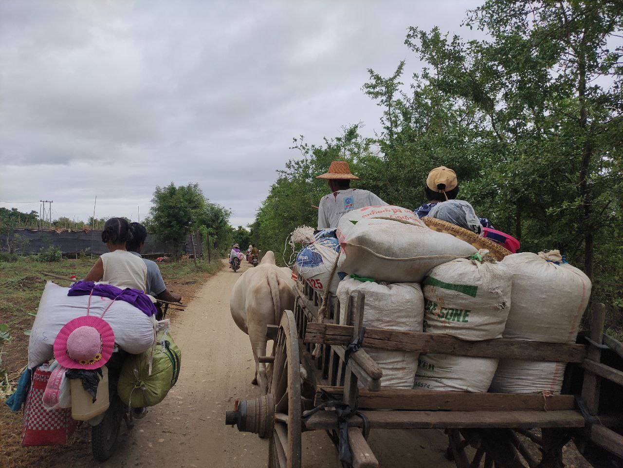 စစ်တပ်ကစစ်ကြောင်းထိုးလာလို့ ချင်းတွင်းမြစ်ကမ်းဘေးက ဒေသခံ ၁ သောင်းကျော် ထွက်ပြေးရ