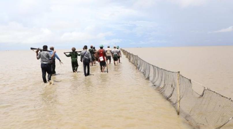 စစ်တောင်းမြစ်အတွင်း ငါးမဖမ်းရရာသီမှာ ငါးဖမ်းဆီးသူပိုများလာ