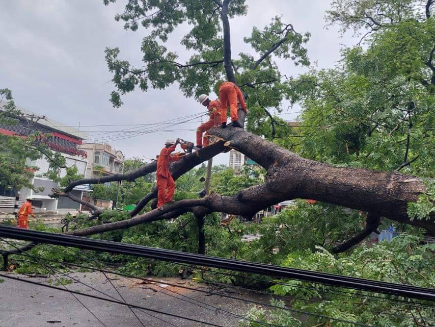 မုန်တိုင်းအရှိန်ကြောင့် မုံရွာမှာ မိုးသည်းပြီး သစ်ပင်တွေလဲလို့ လမ်းတွေပိတ်