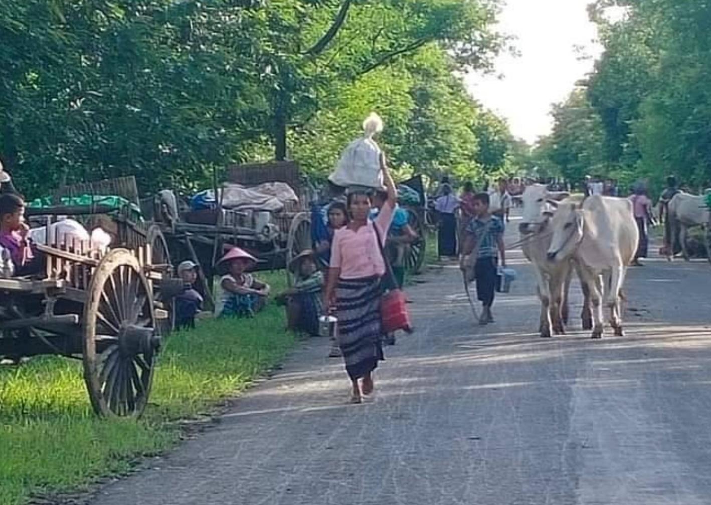 ပုလဲနယ်ကရွာတွေ စစ်ကြောင်းထိုးကာ ရိက္ခာနဲ့ အဖိုးတန်ပစ္စည်းတွေ အကြိမ်ကြိမ်ခိုးယူခံနေရ