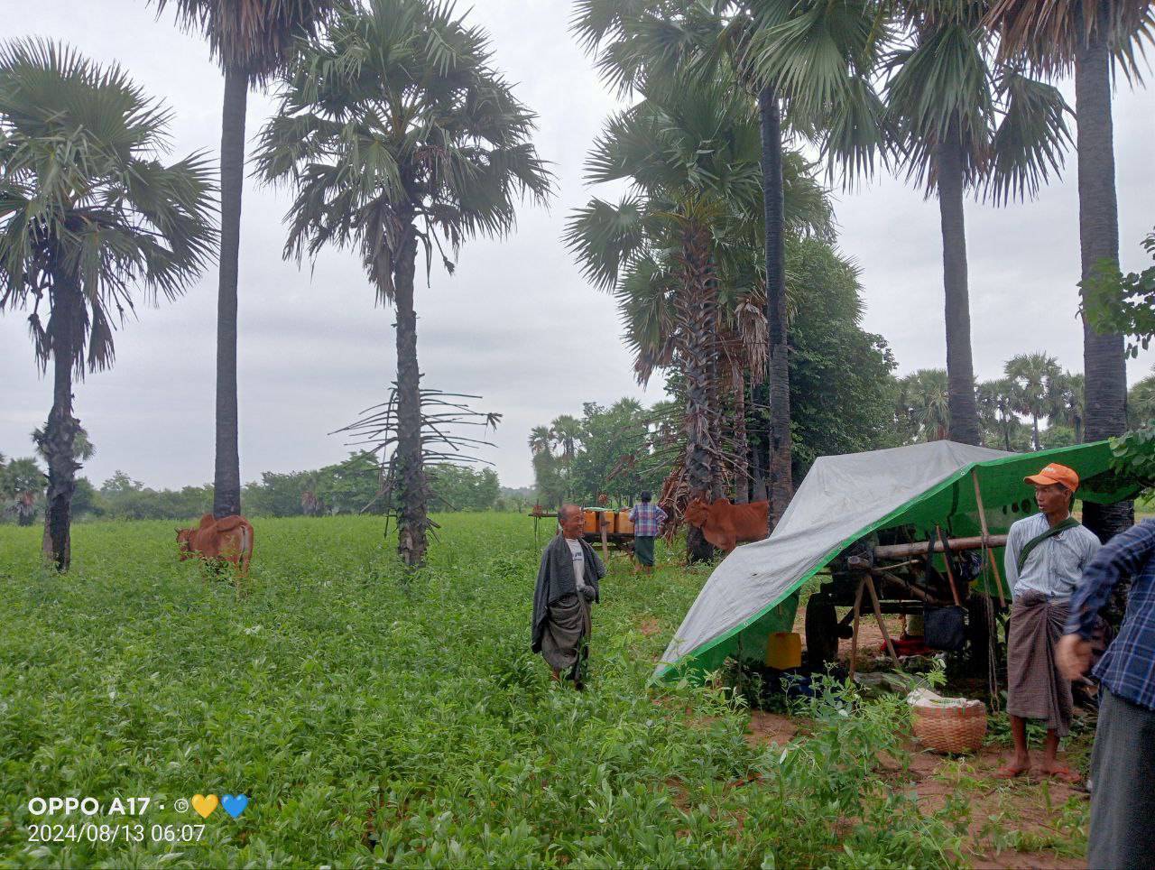 ⁨ရေနံချောင်းမှာ တိုက်ပွဲတွေကြောင့် ဒေသခံ ၁၀၀၀ ကျော်ထွက်ပြေးနေရပြီး စားသောက်ရေးအခက်ကြုံနေ