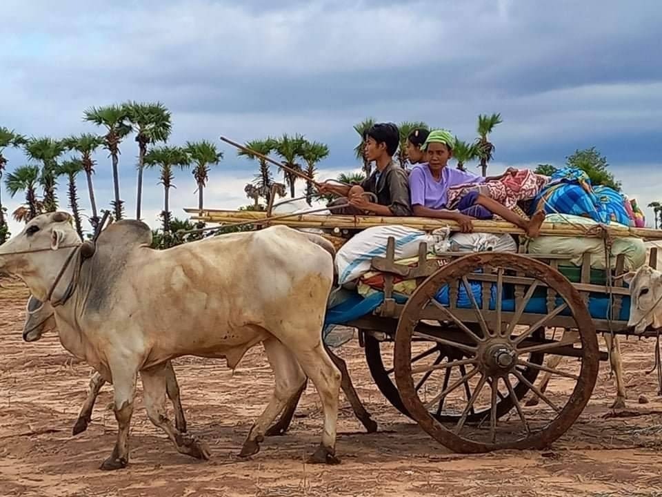 ရွှေဘိုနယ်၊ ဂွေးကုန်းရွာကို စစ်ကောင်စီ ဒုတိယအကြိမ် မီးရှို့ပြန်