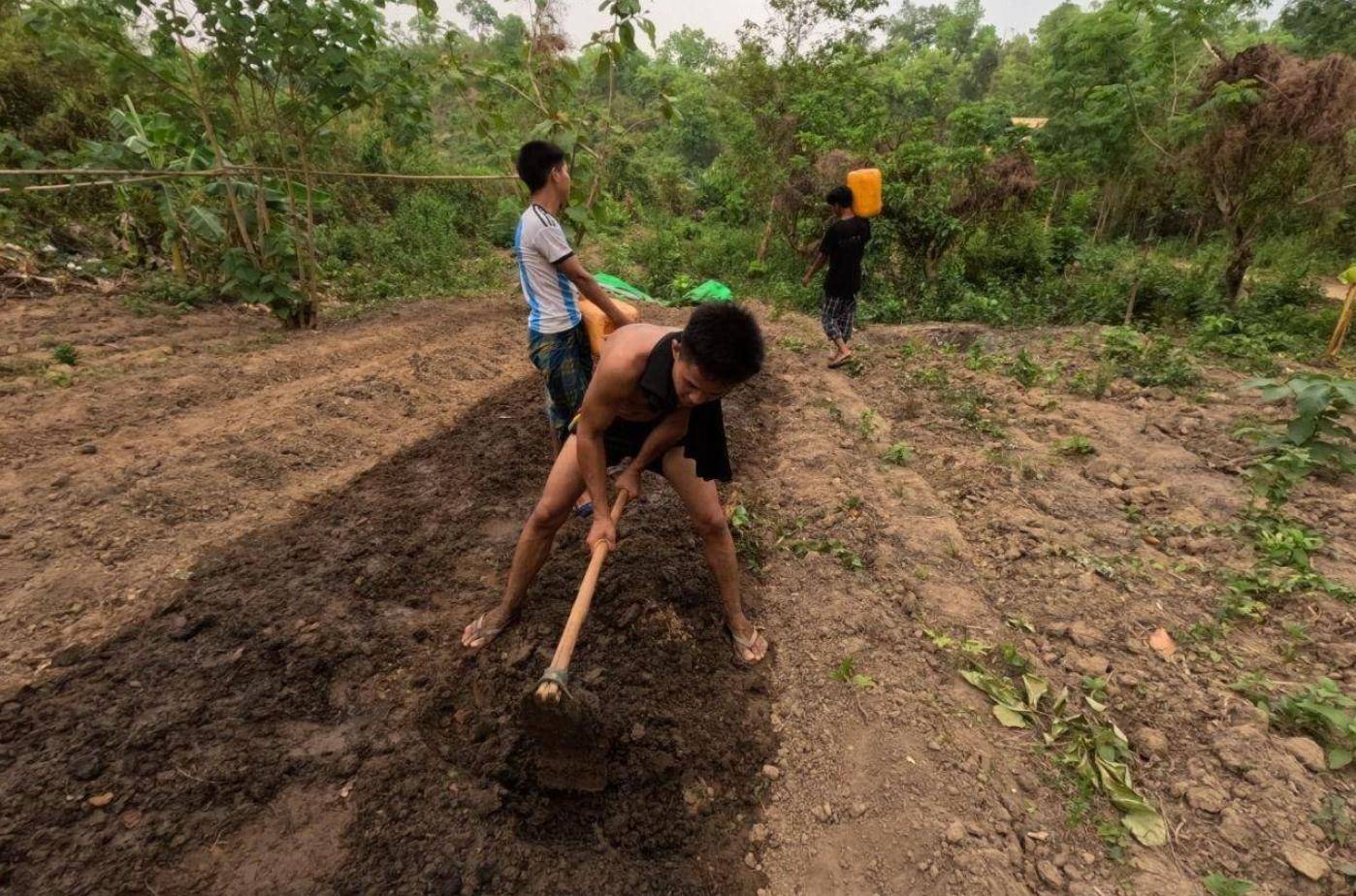 YDF တပ်ဖွဲ့မှာ ရဲဘော်အင်းအားများလာလို့ရိက္ခာမလုံလောက်တဲ့အတွက် စိုက်ခင်းတွေတိုးချဲ့စိုက်ပျိုးနေ