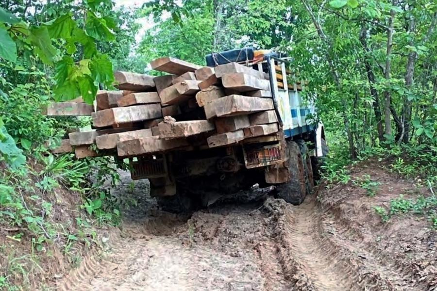 စစ်ကိုင်းနဲ့မန္တလေးတိုင်းမှာ ဇူလိုင်လအတွင်း တရားမဝင်သစ် ၅၇၅ တန် ဖမ်းမိခဲ့ကြောင်း NUG ထုတ်ပြန်