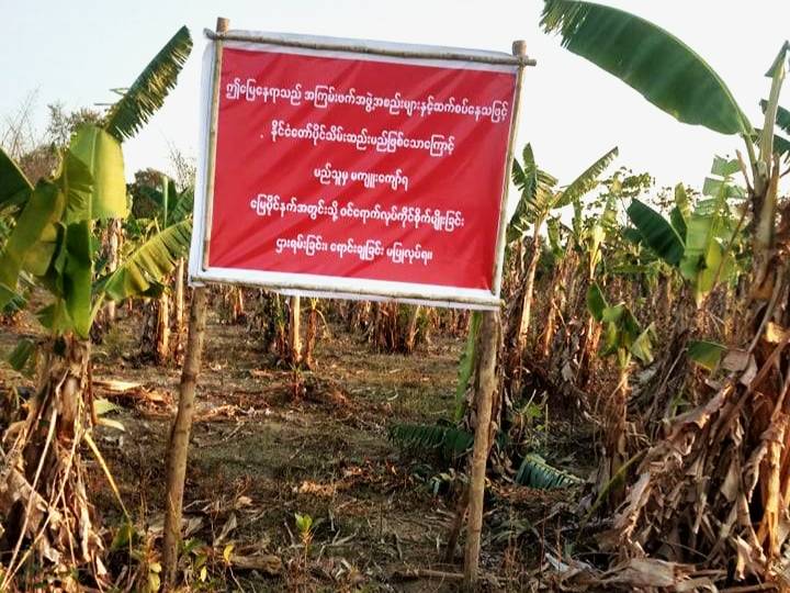 ပေါင်းတည်မှာ အကြမ်းဖက်စွပ်စွဲခံရသူရဲ့ လယ်မြေလုပ်ပိုင်ခွင့်ကို စစ်ကောင်စီကပိတ်သိမ်း