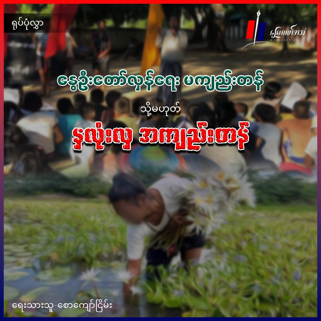 နွေဦးတော်လှန်ရေး မကျည်းတန် သို့မဟုတ် နှလုံးလှ အကျည်းတန် (ရုပ်ပုံလွှာ)