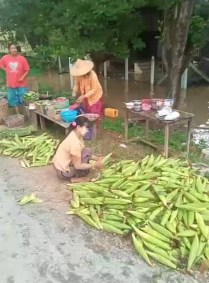 ပြောင်းအထွက်တိုးပြီး ဈေးပိုရလို့ ပန်းတောင်းမြို့နယ်က ပြောင်းစိုက်တောင်သူတွေ အမြတ်ကျန်ဟုဆို