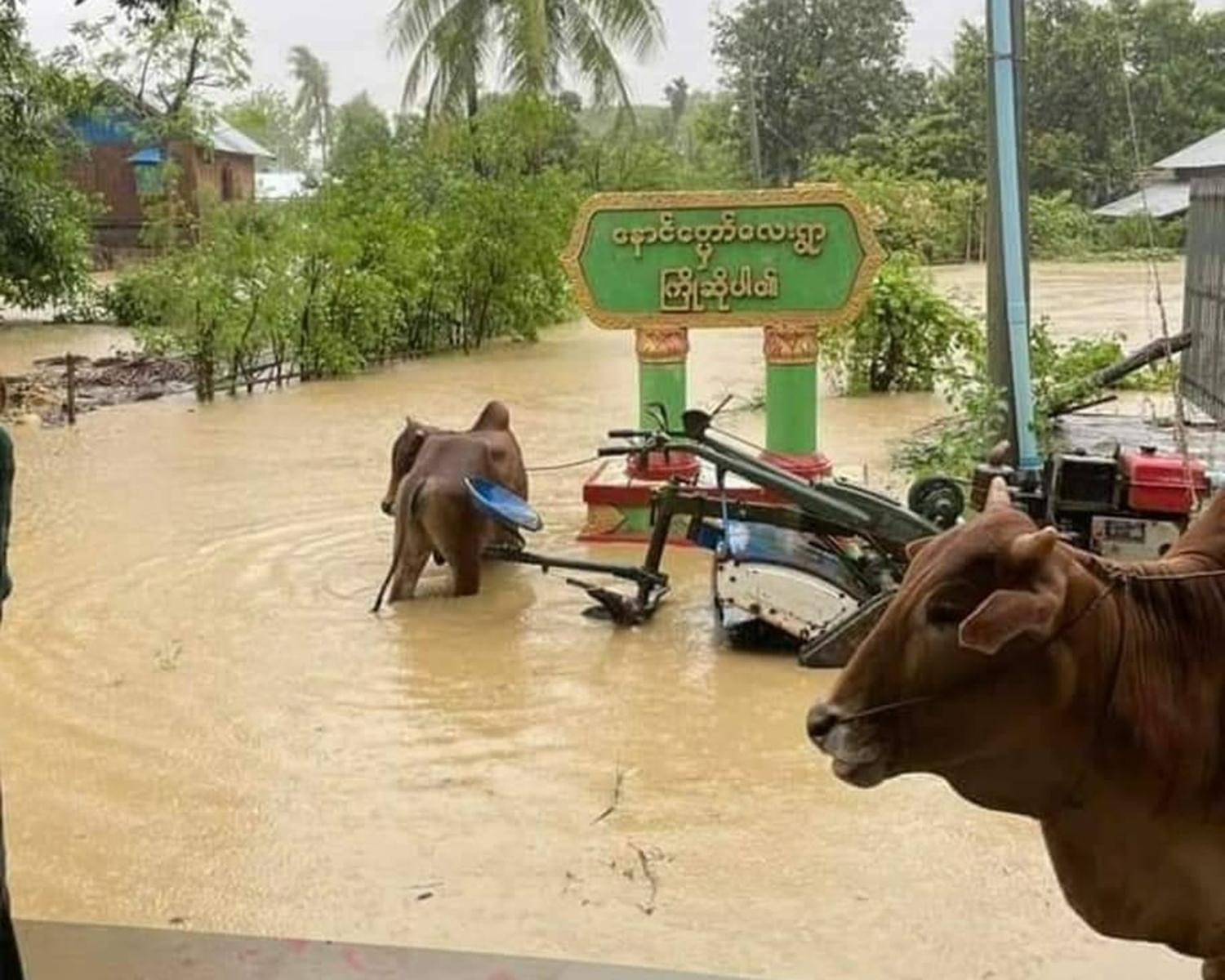 မုန်တိုင်းကြောင့် စစ်ကိုင်းနဲ့မကွေးတိုင်း၂ခုမှာ နေအိမ် ၃လုံးသာ ပျက်စီးတယ်လို့ စစ်ကောင်စီထုတ်ပြန်