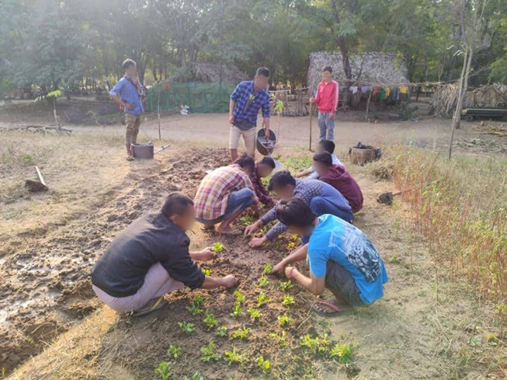 မြေလတ်ပြောက်ကျားအဖွဲ့က ရိက္ခာအတွက် ကိုယ်ထူကိုယ်ထစိုက်ခင်းတွေ စိုက်ပျိုး