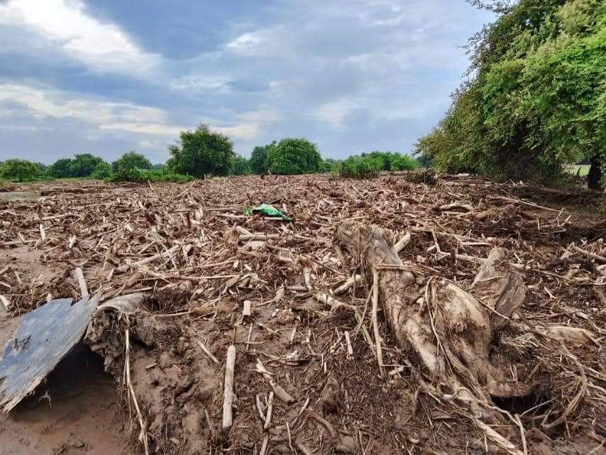 ရေကြီးမြေပြိုလို့ နုန်းနဲ့ အမှိုက်တွေဖုံးသွားတဲ့ စိုက်ဧက ၁၀၀၀ ကျော် ပြန်မဖော်နိုင်တာကြောင့် မစိုက်နိုင်ဘဲ တောင်သူတွေ အလုပ်လက်မဲ့ဖြစ်နေ    ■ စက်ယန္တရားတွေနဲ့ ပြန်ဖော်ဖို့လိုအပ်ပြီး စစ်ကောင်စီက လာရောက်ကူညီတာ မရှိသေးလို့ဆို