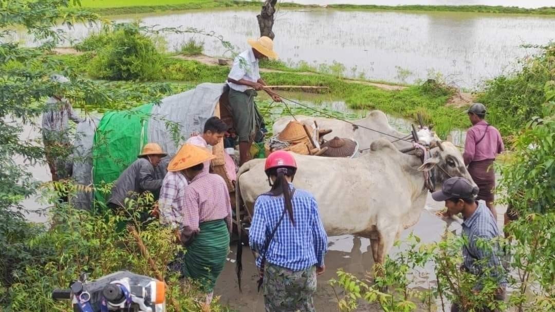 ခင်ဦးက ရွာတွေကို စစ်ကြောင်းထိုးလို့ ဒေသခံ ၂၀,၀၀၀ ခန့် ထွက်ပြေးနေရ၊ စစ်ရှောင် ၁ ဦး အမောဖောက်သေဆုံး