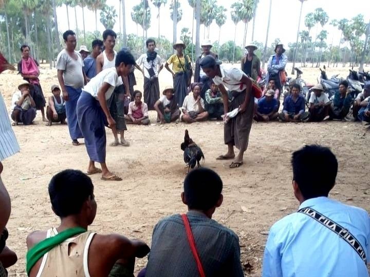 မြိုင်မြို့နယ်က လောင်းကစားဝိုင်းတွေကို အုံလိုက်ကျင်းလိုက်ဝင်ရောက်ဖမ်းဆီးမယ်လို့ မြို့နယ်ပကဖ စာထုတ်