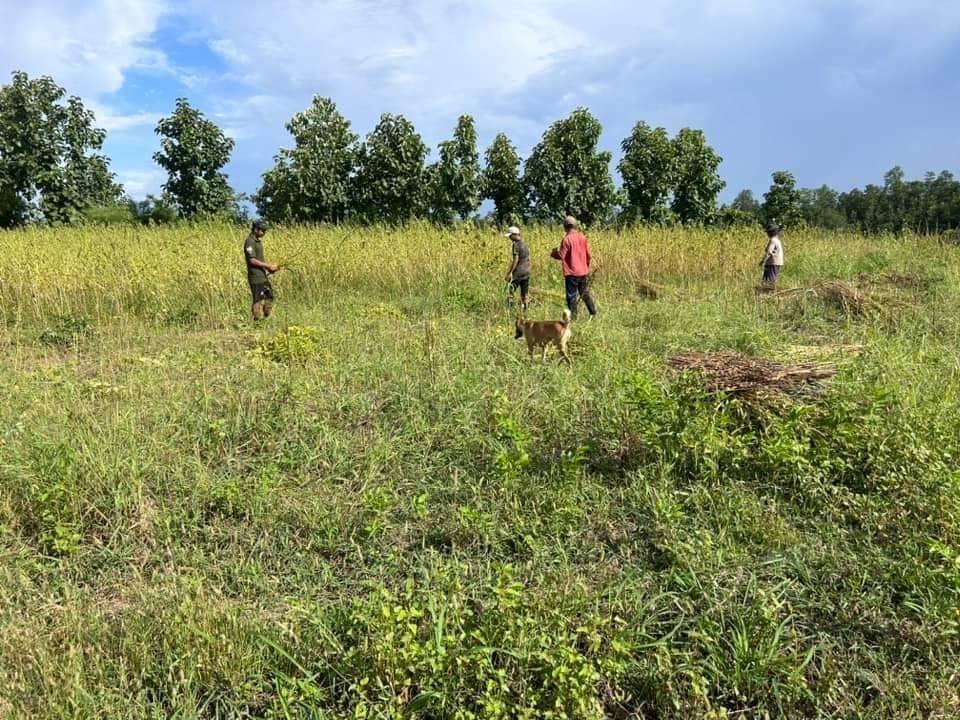 လယ်ယာလုပ်သားရှားပါးလို့ အလုပ်သမားငှားမရတဲ့ တောင်သူတွေကို PDF တွေ ကူညီပေး