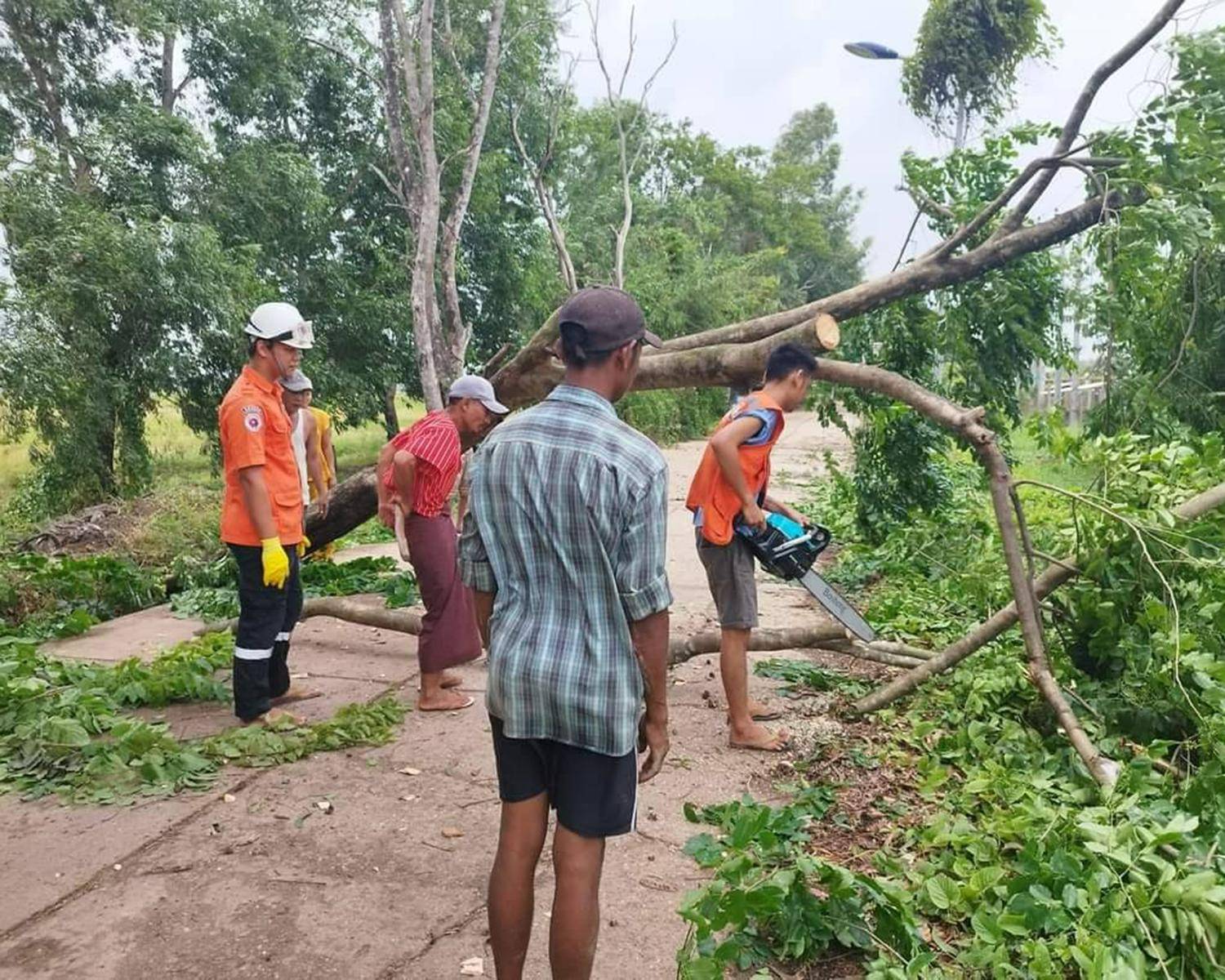 မုန်တိုင်းအရှိန်ကြောင့် ပဲခူးတိုင်းအတွင်းမြို့နယ်တွေမှာ သစ်ပင်တွေလဲကျပြီး နေအိမ်ပျက်စီးမှုတွေရှိ