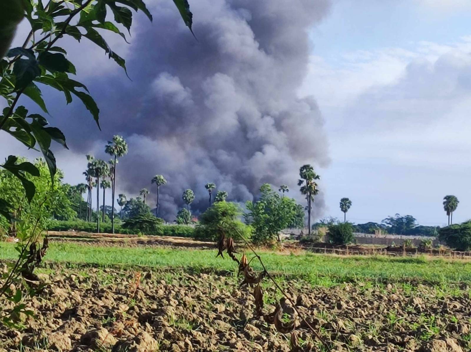 မိုင်းရှင်းဖို့လာတဲ့ စစ်အုပ်စုက မုံရွာနယ်၊ မအူရွာက နေအိမ်တွေကို မီးရှို့ခဲ့